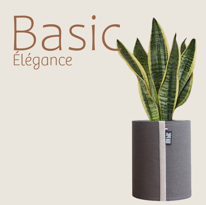 Gamme Basic