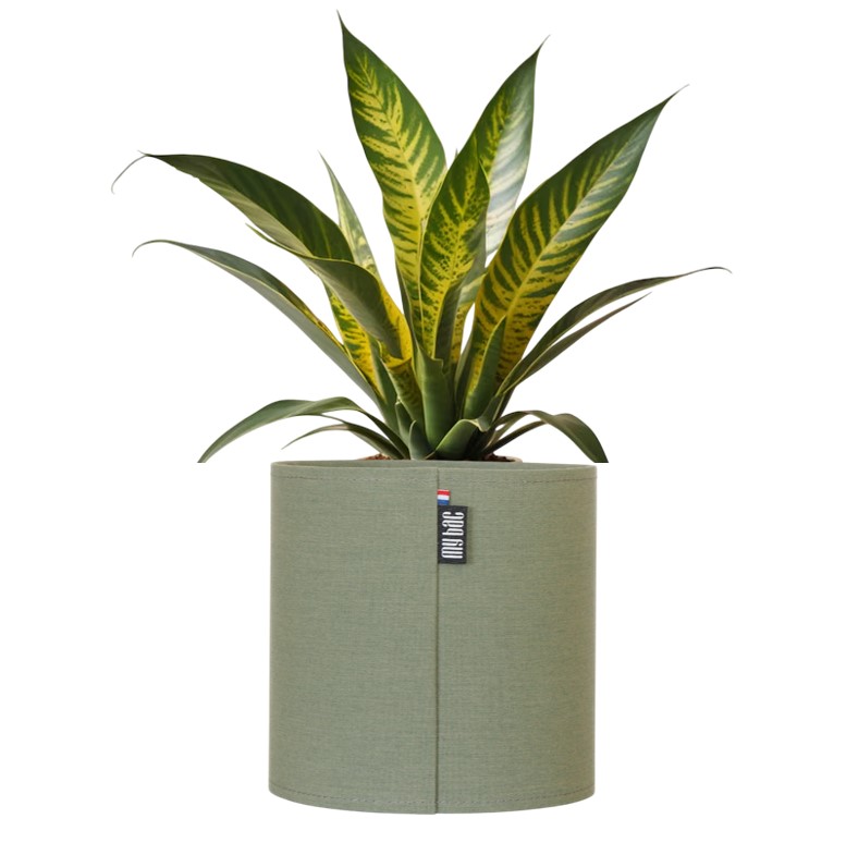 Tendance vert olive