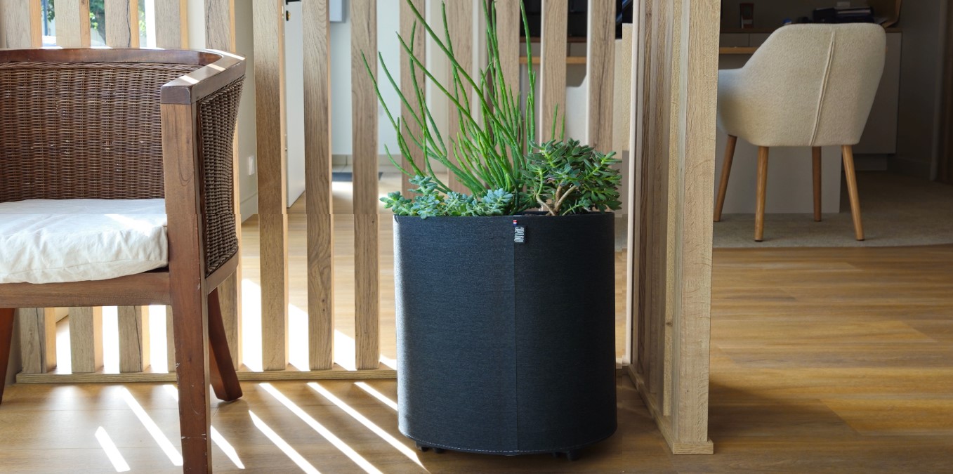 classique_v2 pots MyBac pour agrumes