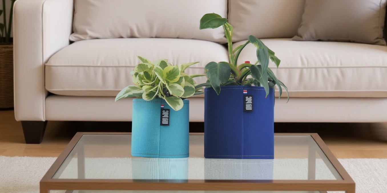 tendance_v2 pots MyBac pour agrumes