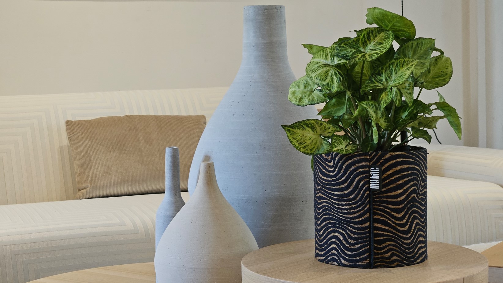 elegance2 pots MyBac pour agrumes